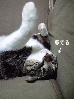 c0035001_23482595.jpg