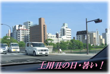 a0075802_21335529.jpg