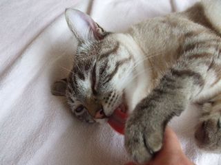 c0103205_20322740.jpg