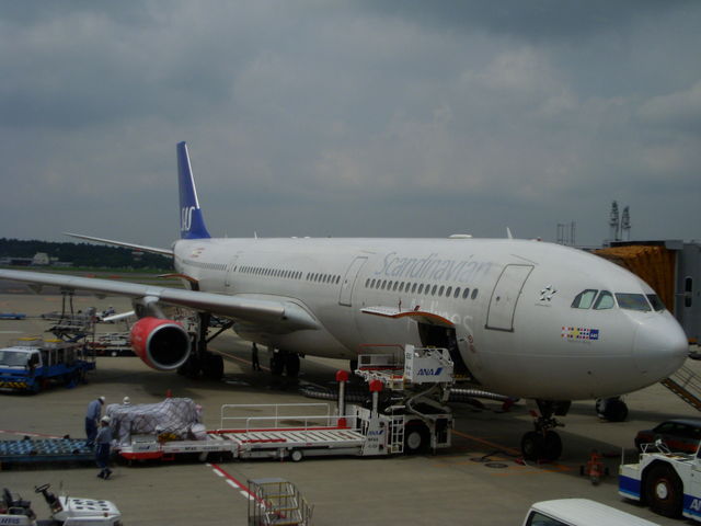 b0089407_178097.jpg