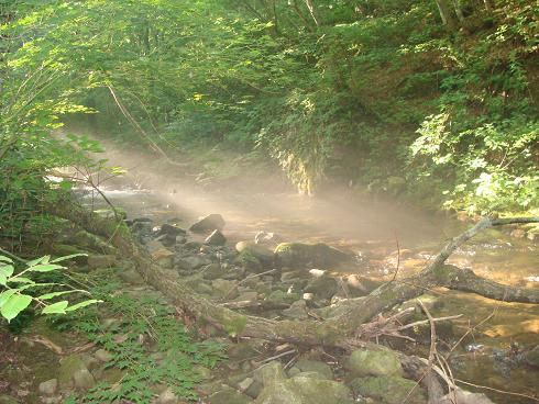 e0123808_0233760.jpg
