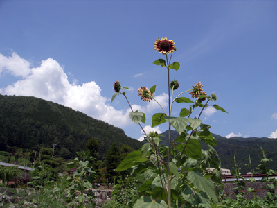 f0135908_23311722.jpg