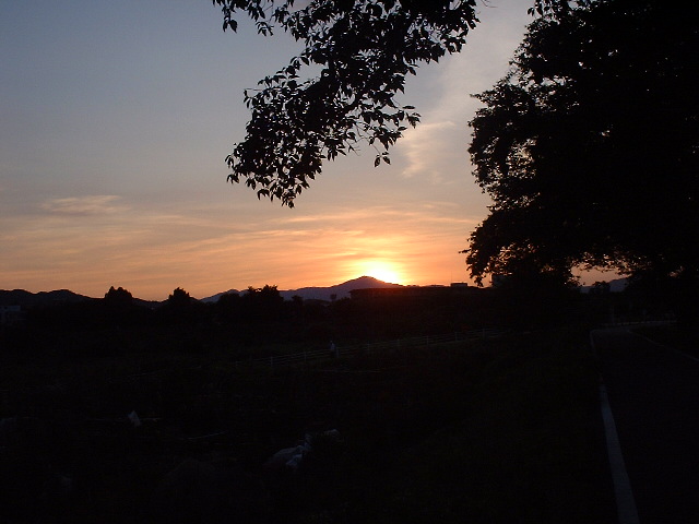 f0173908_9311874.jpg