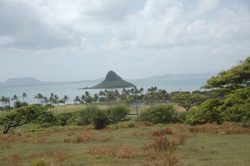 e0082110_0571196.jpg