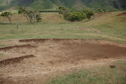 e0082110_1343227.jpg