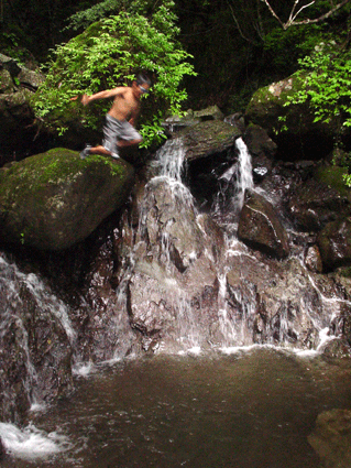 f0061013_7434676.gif