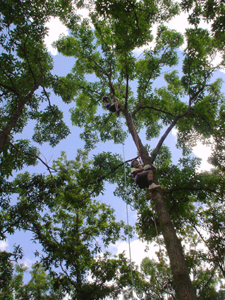 f0061013_7445362.gif