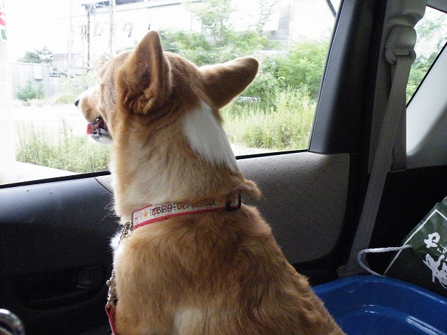 c0127617_22205154.jpg