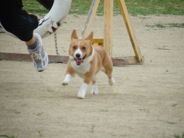 c0127617_2232247.jpg