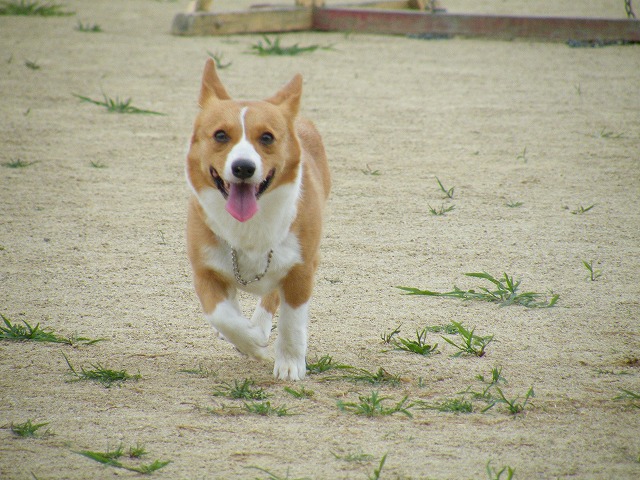 c0127617_2262230.jpg
