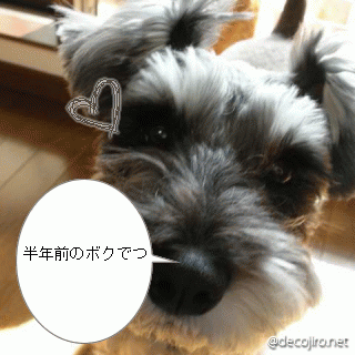 d0149722_22384626.gif