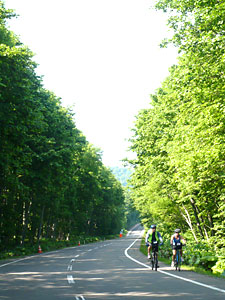 d0023725_4104749.jpg