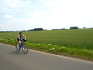 d0023725_495544.jpg