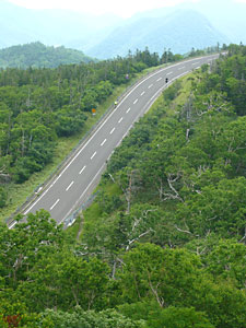 d0023725_9352269.jpg