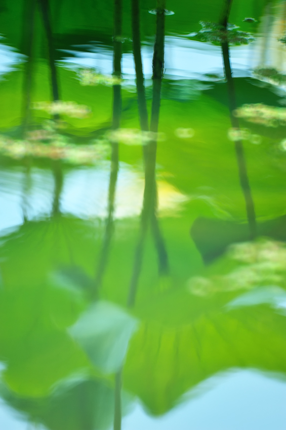 c0126428_21594248.jpg