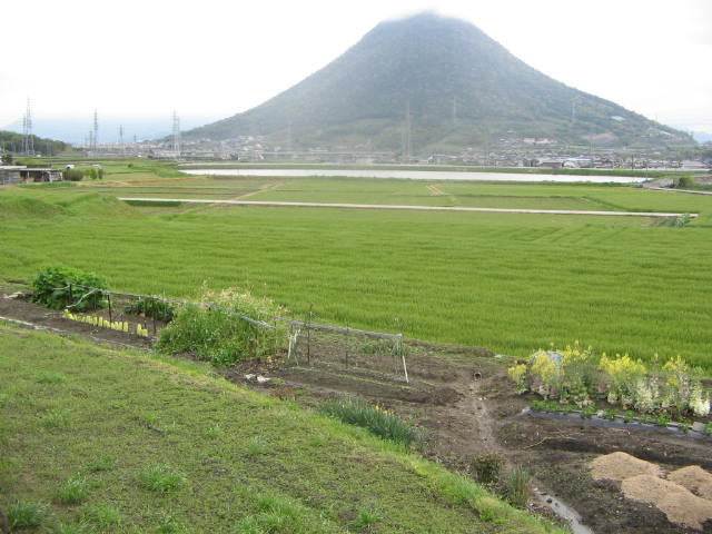 e0129831_1835083.jpg
