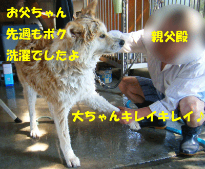 f0008935_12404314.gif