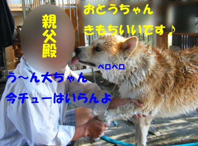 f0008935_1240514.gif