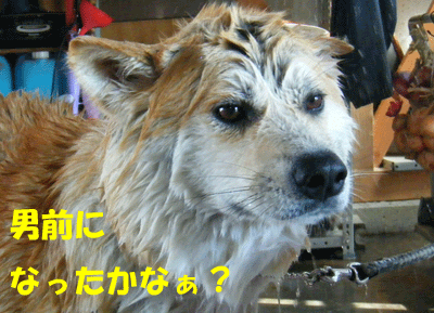 f0008935_12411051.gif