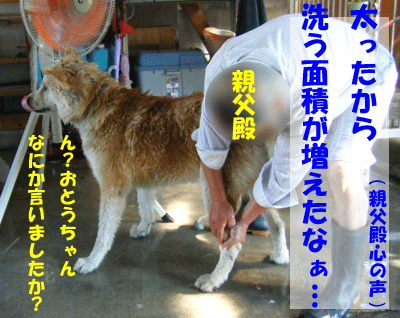 f0008935_1241141.gif