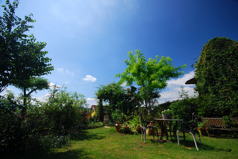 b0075541_2363542.jpg