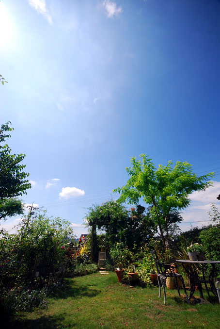 b0075541_2374730.jpg