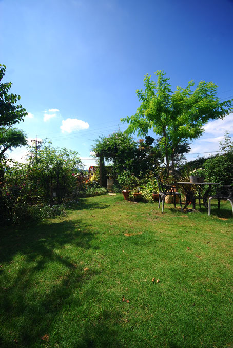b0075541_2383710.jpg