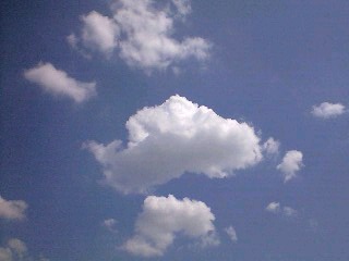 f0131642_16251933.jpg