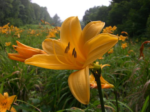 f0094843_0243517.jpg