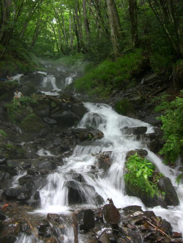 f0094843_0495137.jpg