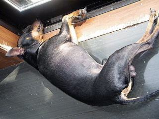 c0123149_03204.jpg