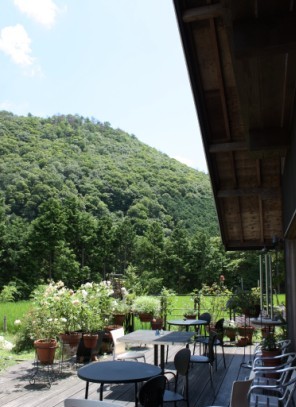 b0070950_17533697.jpg