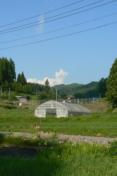 b0066153_16455979.jpg
