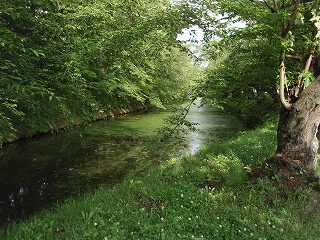e0004756_1959963.jpg