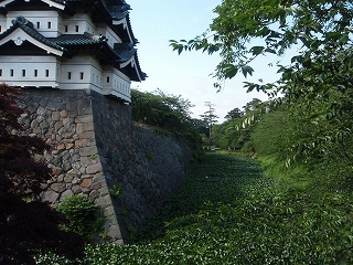 e0004756_20115692.jpg