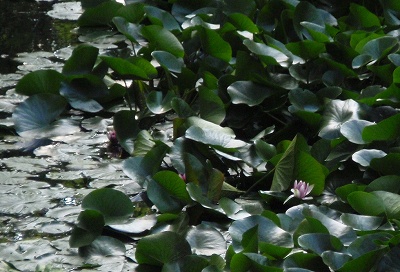 e0004756_20125661.jpg