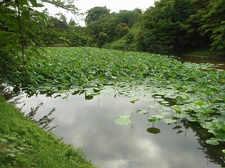 e0004756_20281250.jpg