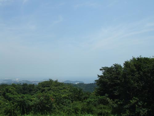 d0150659_10572029.jpg