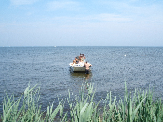 d0107660_847790.jpg