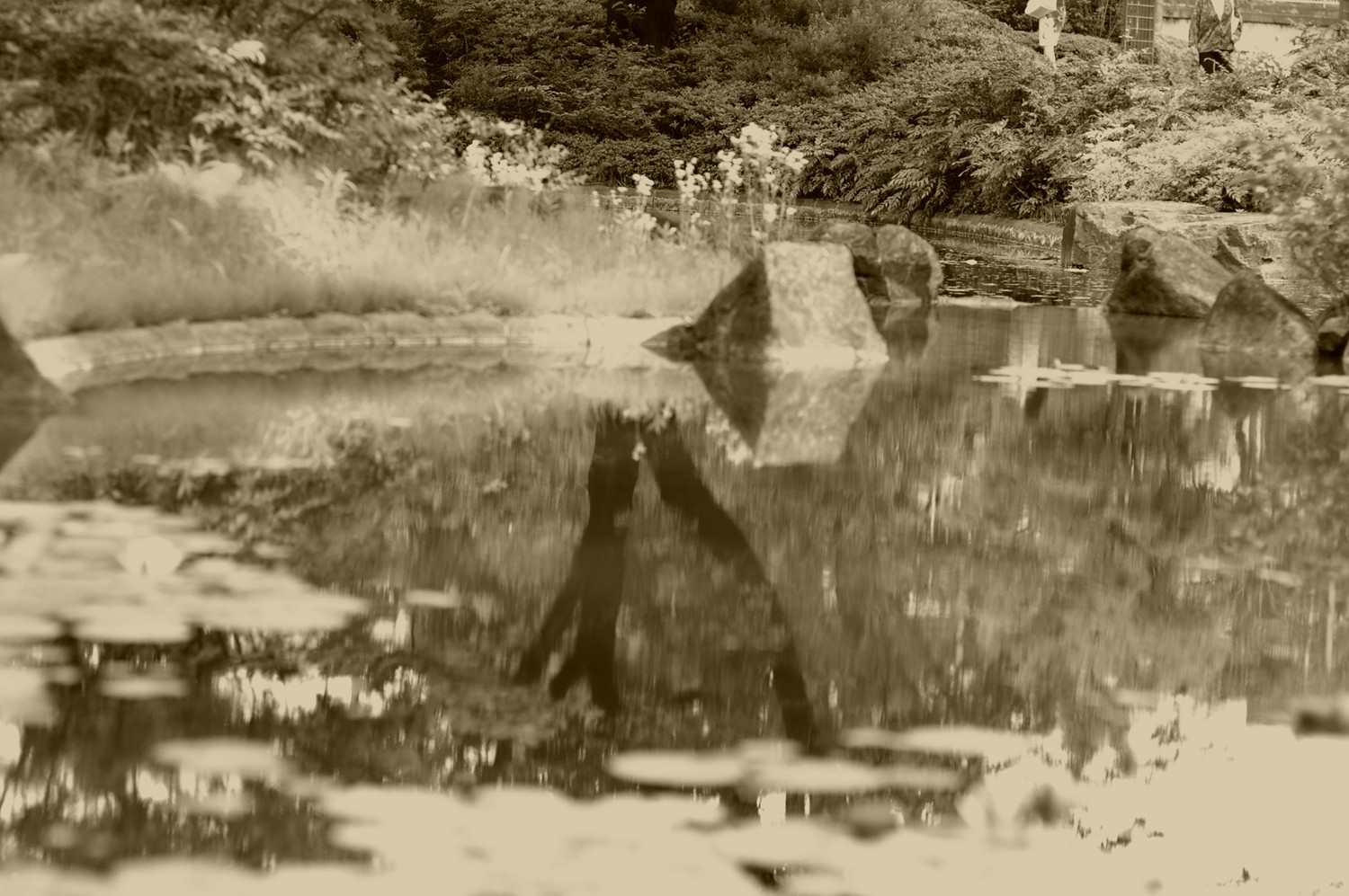 f0179061_12192362.jpg