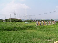 b0004675_935378.jpg