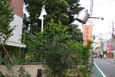 b0094378_18403871.jpg