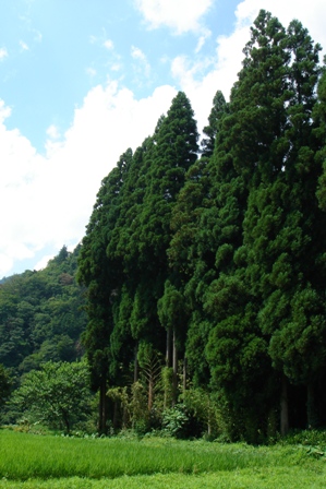 c0135480_001794.jpg