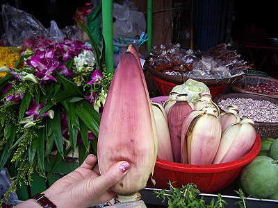 c0045882_226763.jpg