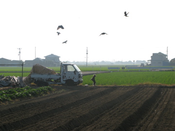 d0137083_20282796.jpg