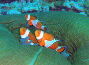 c0018489_035125.jpg