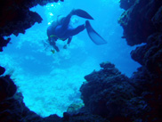 c0018489_2358327.jpg