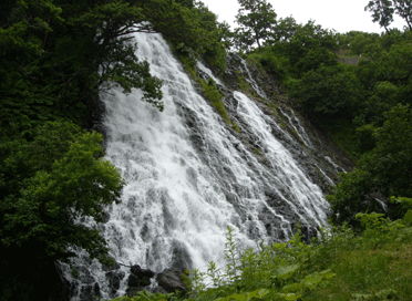 b0032694_8471274.gif