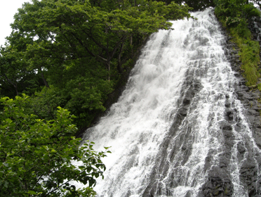 b0032694_8472824.gif