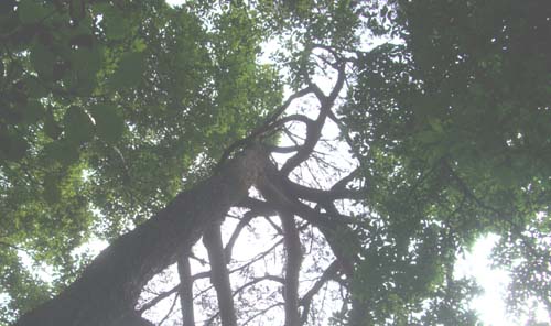 b0099994_18432998.jpg